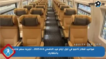 مواعيد قطار تالجو في أول أيام عيد الأضحى 6-6-2025.. تجربة سفر فاخرة بانتظارك